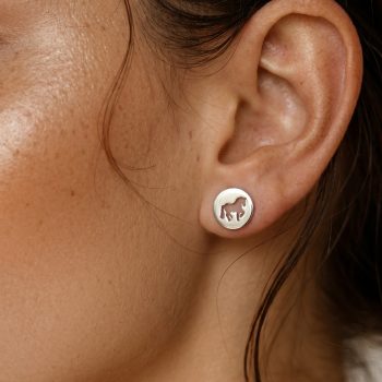 Studs piaffe - small horse - circle